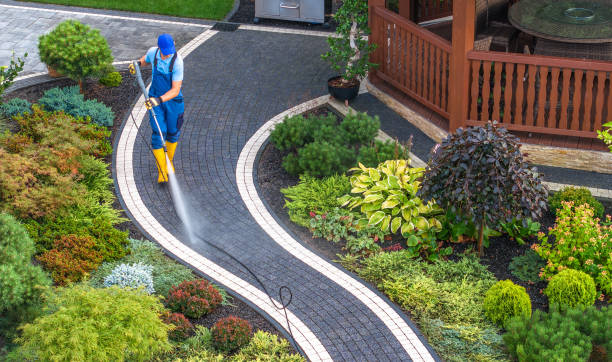 Best Pressure Washing Near Me  in Aldan, PA