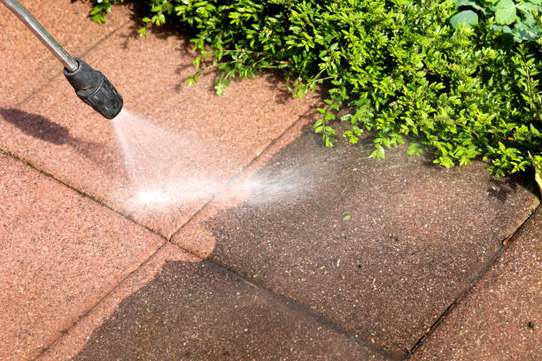 Best Roof Pressure Washing  in Aldan, PA