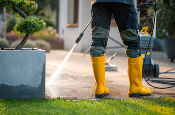 Best Residential Pressure Washing Services  in Aldan, PA